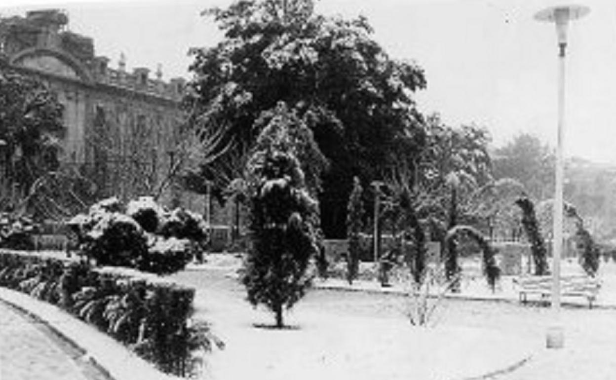 Estado de Valencia tras la nevada del 11 de enero de 1960.