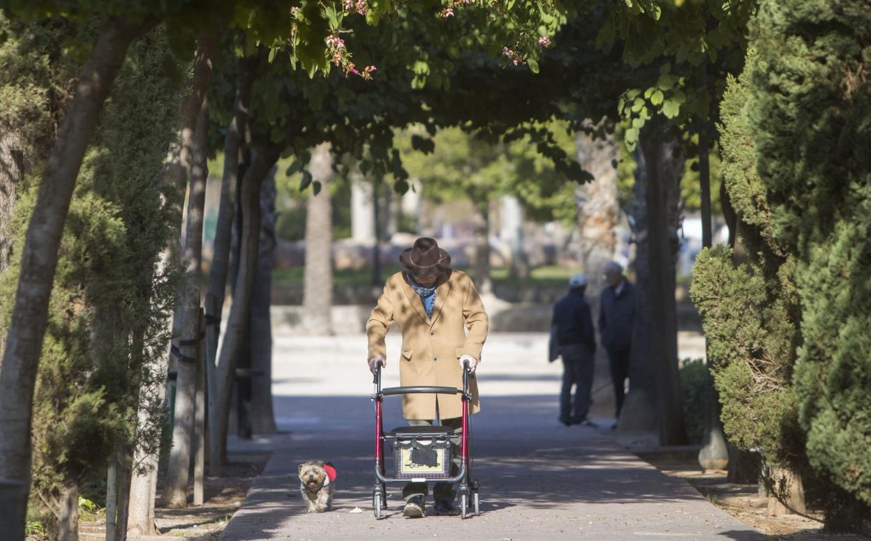 Una persona mayor camina ayudado de un andador y junto a su mascota. 