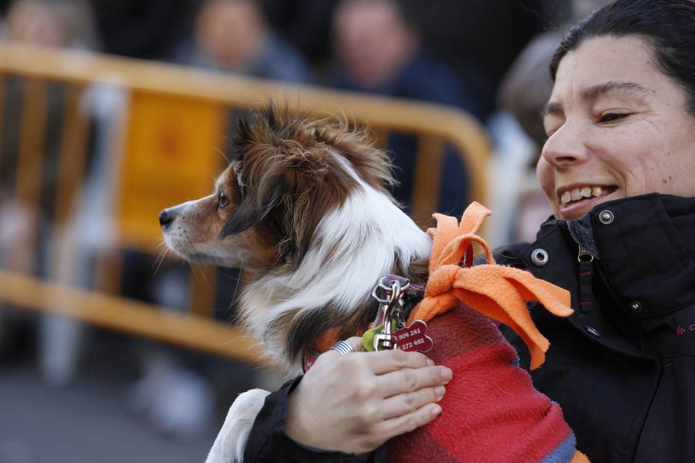 Fotos: Las mascotas celebran San Antonio en Valencia