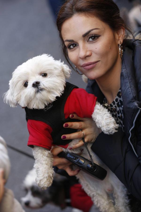 Fotos: Las mascotas celebran San Antonio en Valencia