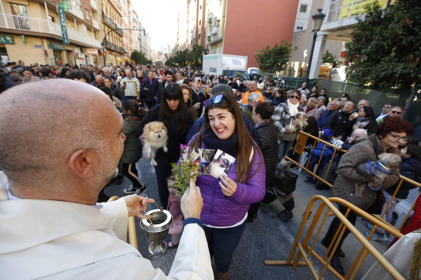 Fotos: Las mascotas celebran San Antonio en Valencia