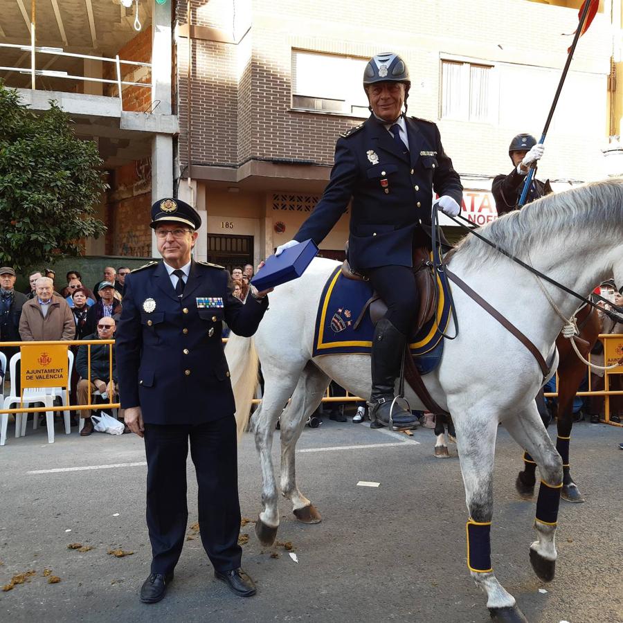 Fotos: Las mascotas celebran San Antonio en Valencia