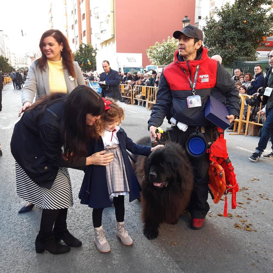 Fotos: Las mascotas celebran San Antonio en Valencia