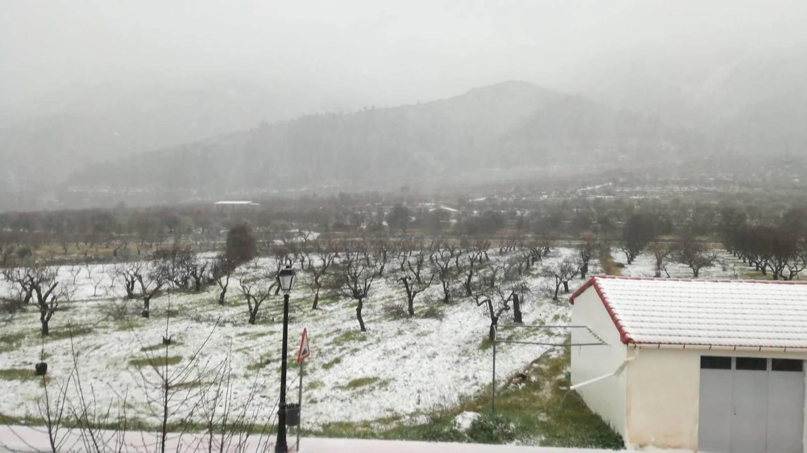 Nieve en Castell de Castells, este domingo, 19 de enero.