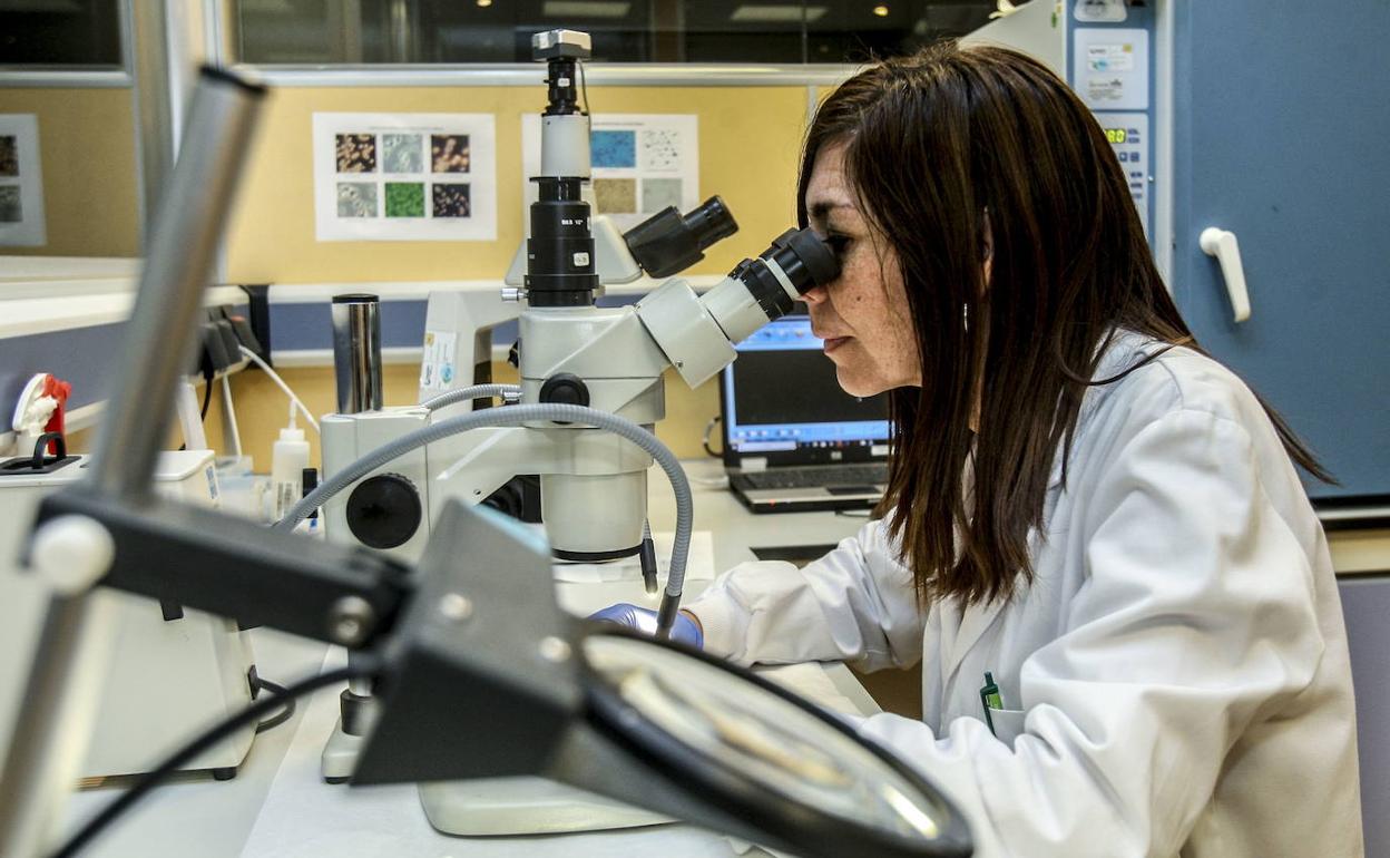 Trabajadora en un laboratorio.