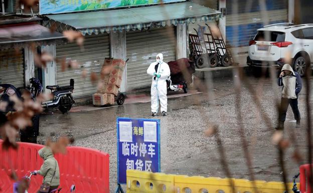 Un mercado de pescado de Wuhan. Una de las posibles zonas 0, ya que se relaciona más con la carne.