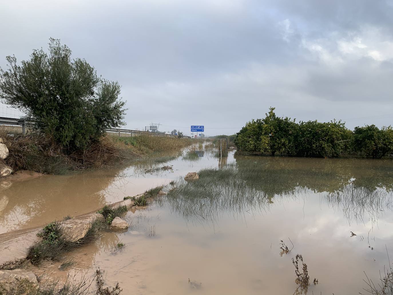 Daños del temporal en Alberic