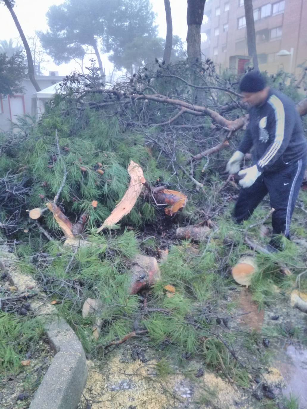 Daños del temporal en Alberic