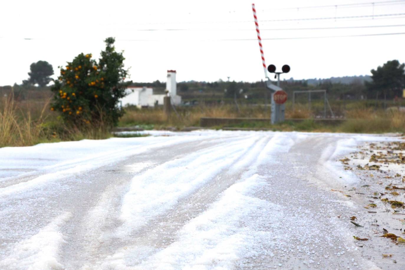 Granizo Horta Sud