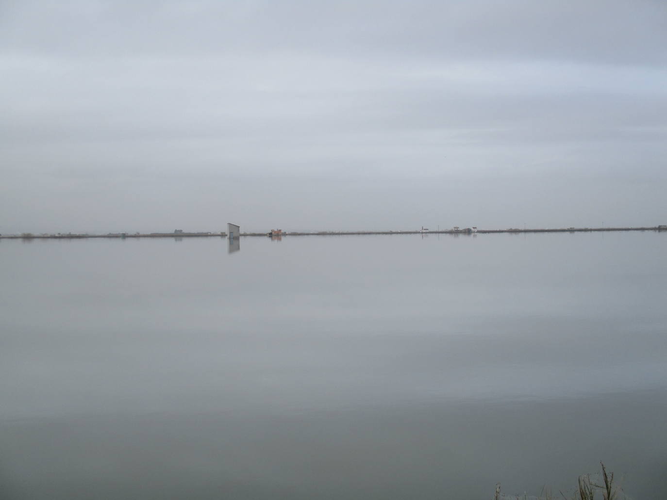 Fotos: Los arrozales de la Albufera