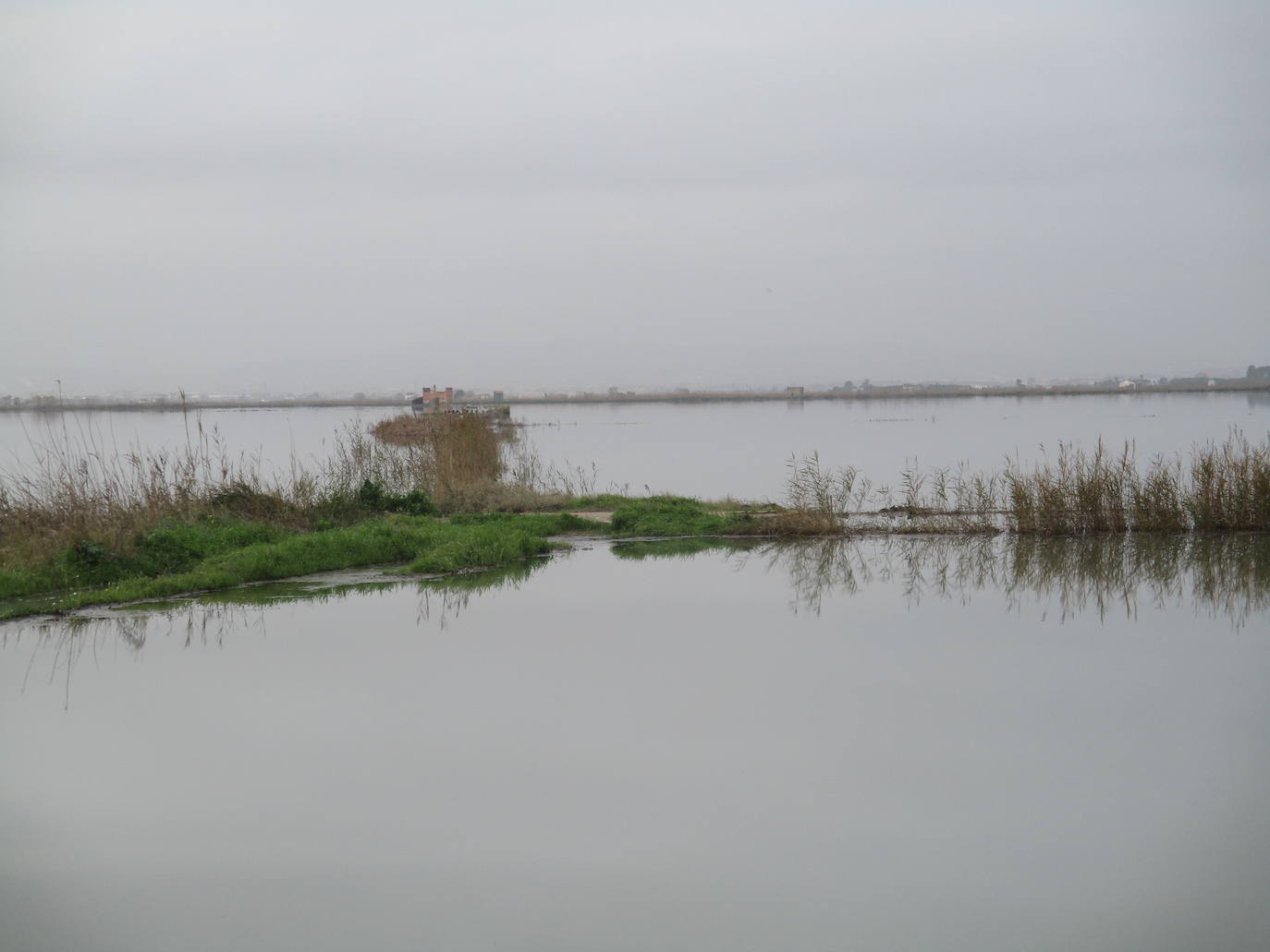 Fotos: Los arrozales de la Albufera