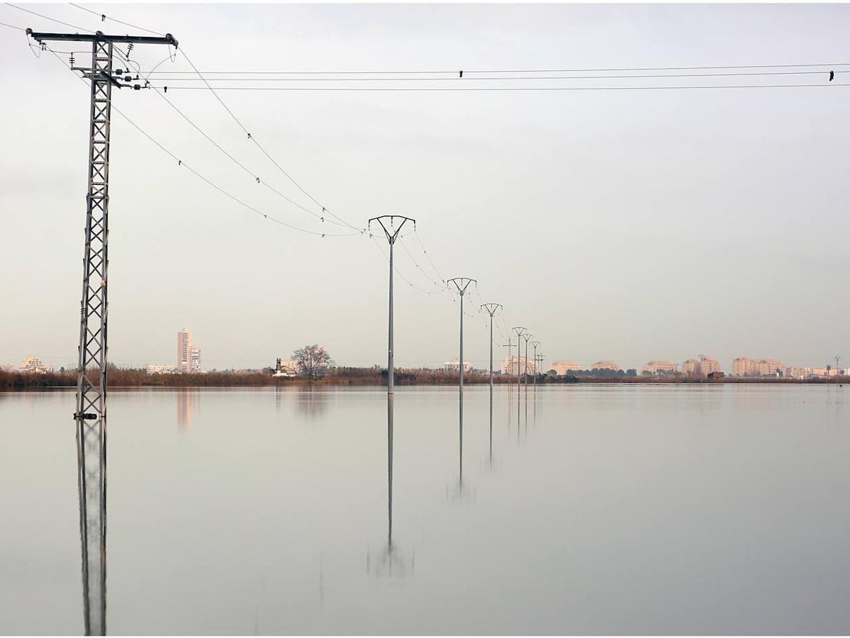 Fotos: Los arrozales de la Albufera