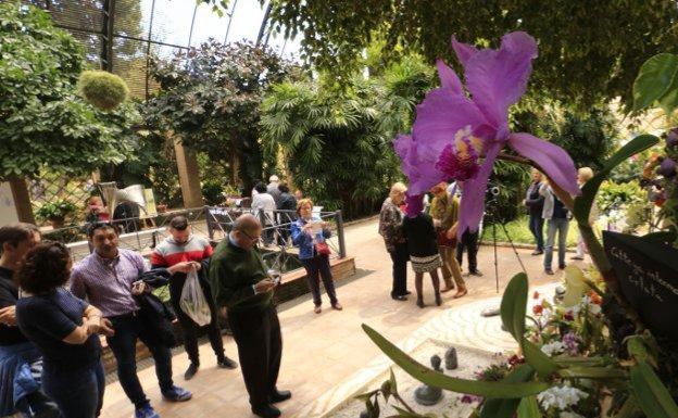 Jardín Botánico de Valencia.