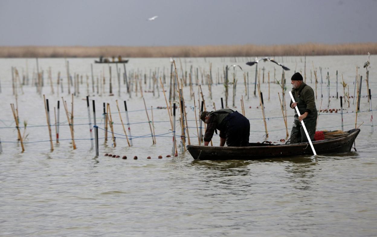 Dos hombres faenan en la Albufera. 