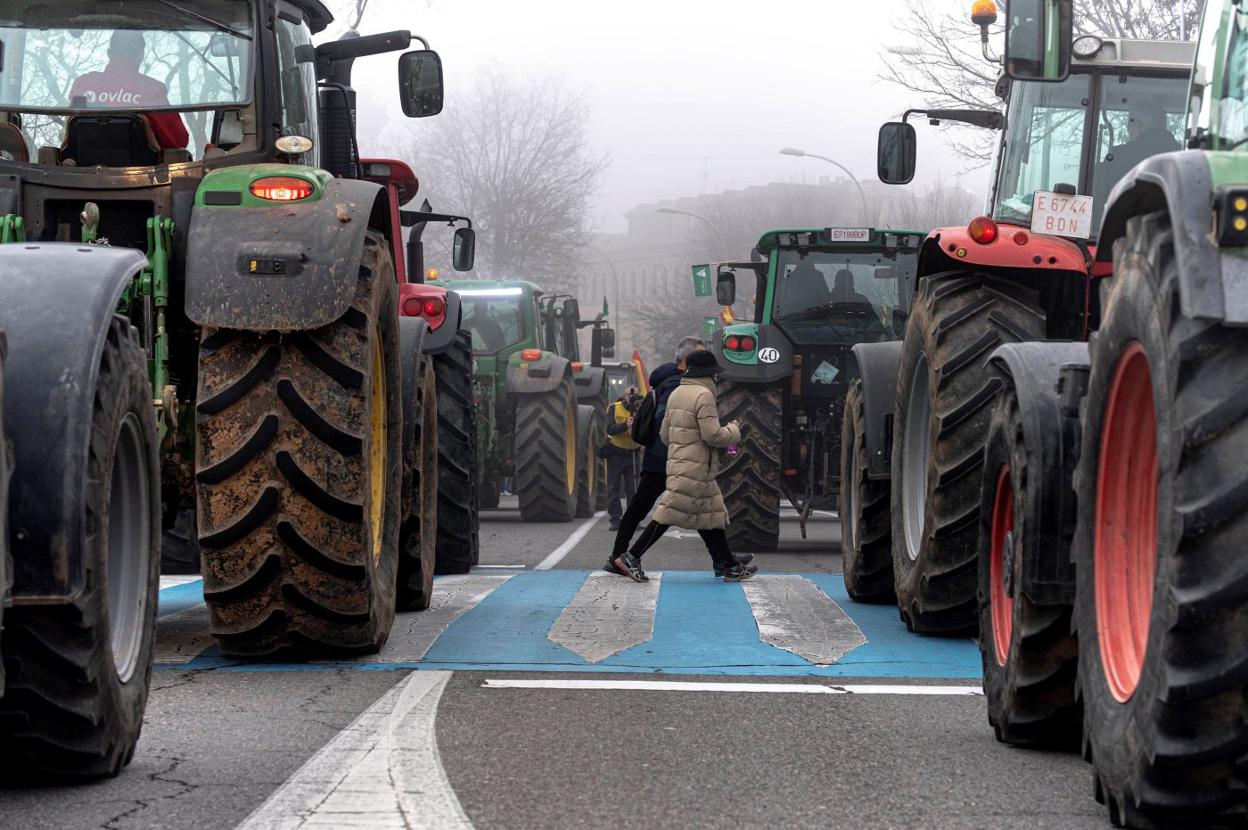 Ganaderos y agricultores recorrieron ayer las calles de Toledo en protesta por los bajos precios de sus productos. 