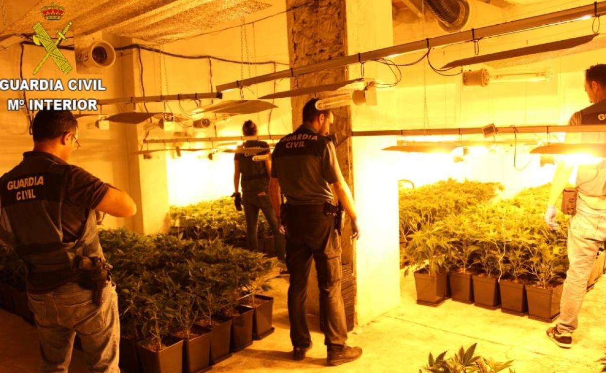 Agentes de la Guardia Civil en el laboratorio clandestino de marihuana. 