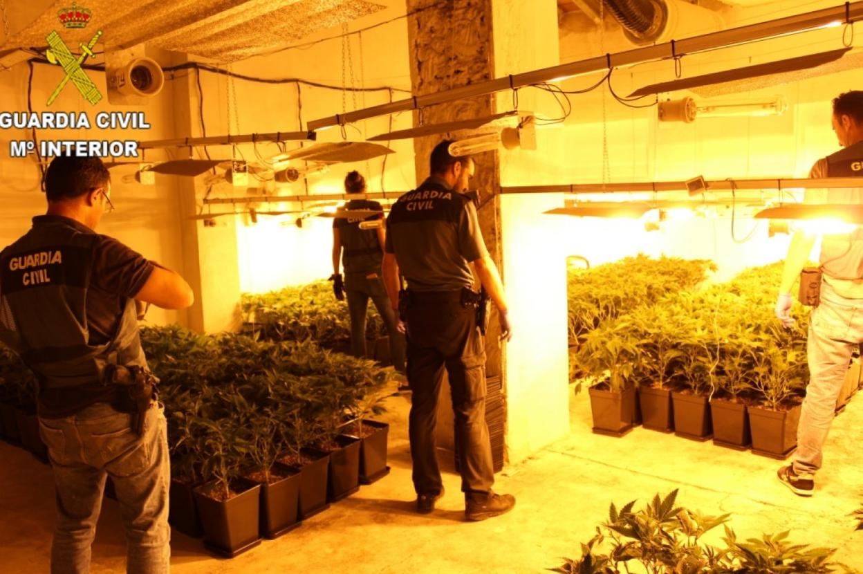 Agentes de la Guardia Civil durante una reciente intervención de un cultivo intensivo de marihuana en Llombai. 