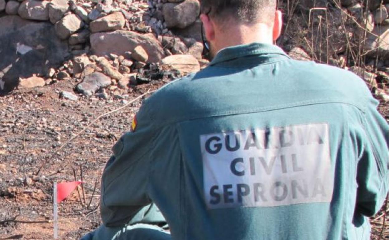 Agentes del Seprona de la Guardia Civil, en una imagen de archivo.