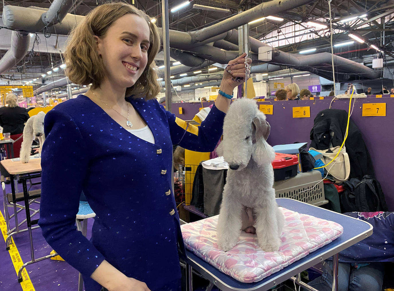 Un caniche llamado Shiba ha sido coronado 'Best in Show'' (el mejor perro) en el concurso anual Westminster Kennel ClubDog Show celebrado esta semana en Nueva York.