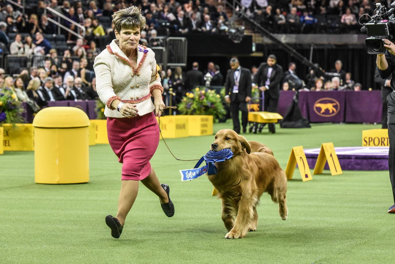 Un caniche llamado Shiba ha sido coronado 'Best in Show'' (el mejor perro) en el concurso anual Westminster Kennel ClubDog Show celebrado esta semana en Nueva York.