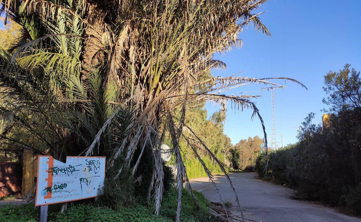Entrada del recinto del Safari Park El Verger, actualmente cerrado al público, donde se pretende celebrar el festival. 
