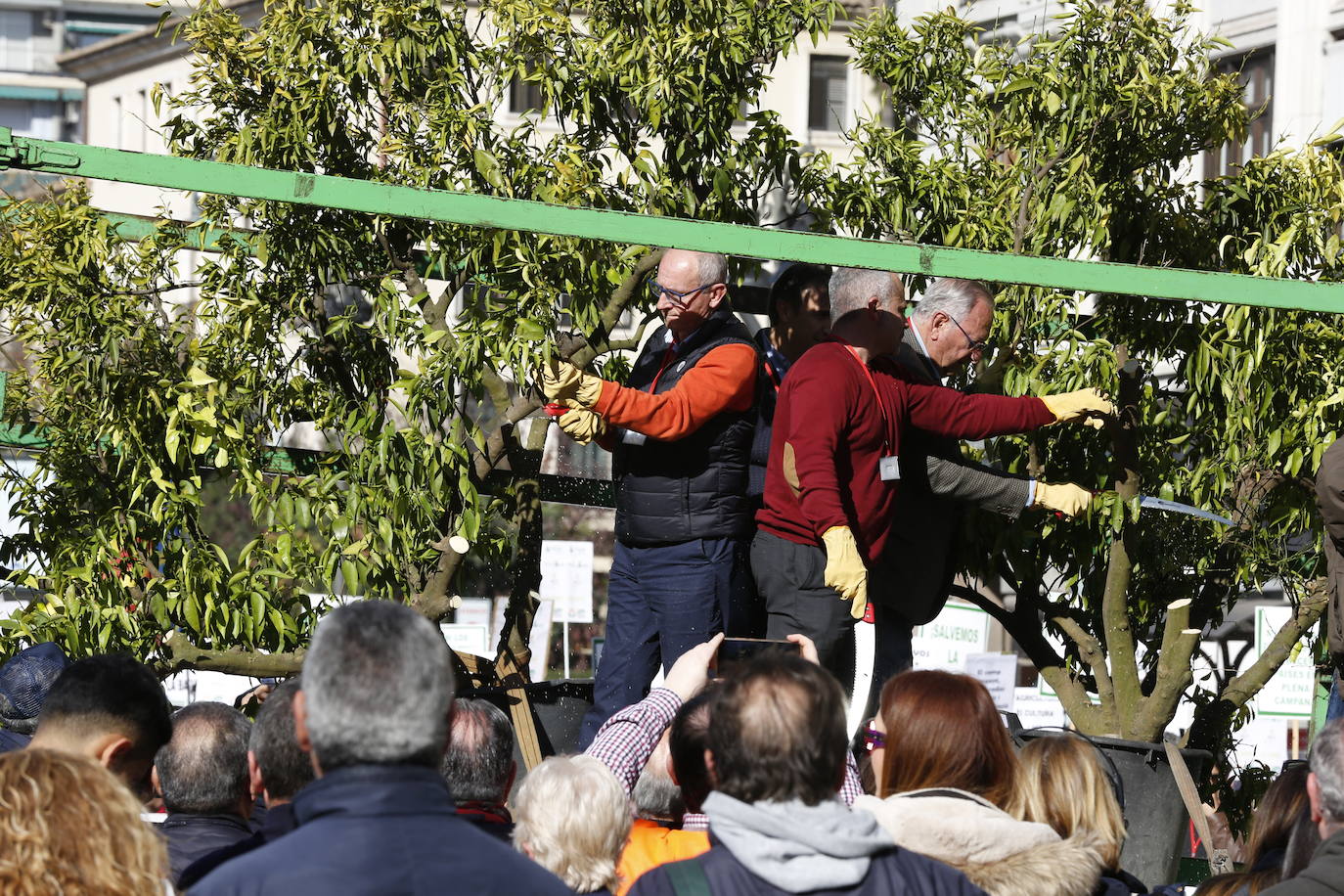 Fotos: Manifestación de tractores en el centro de Valencia