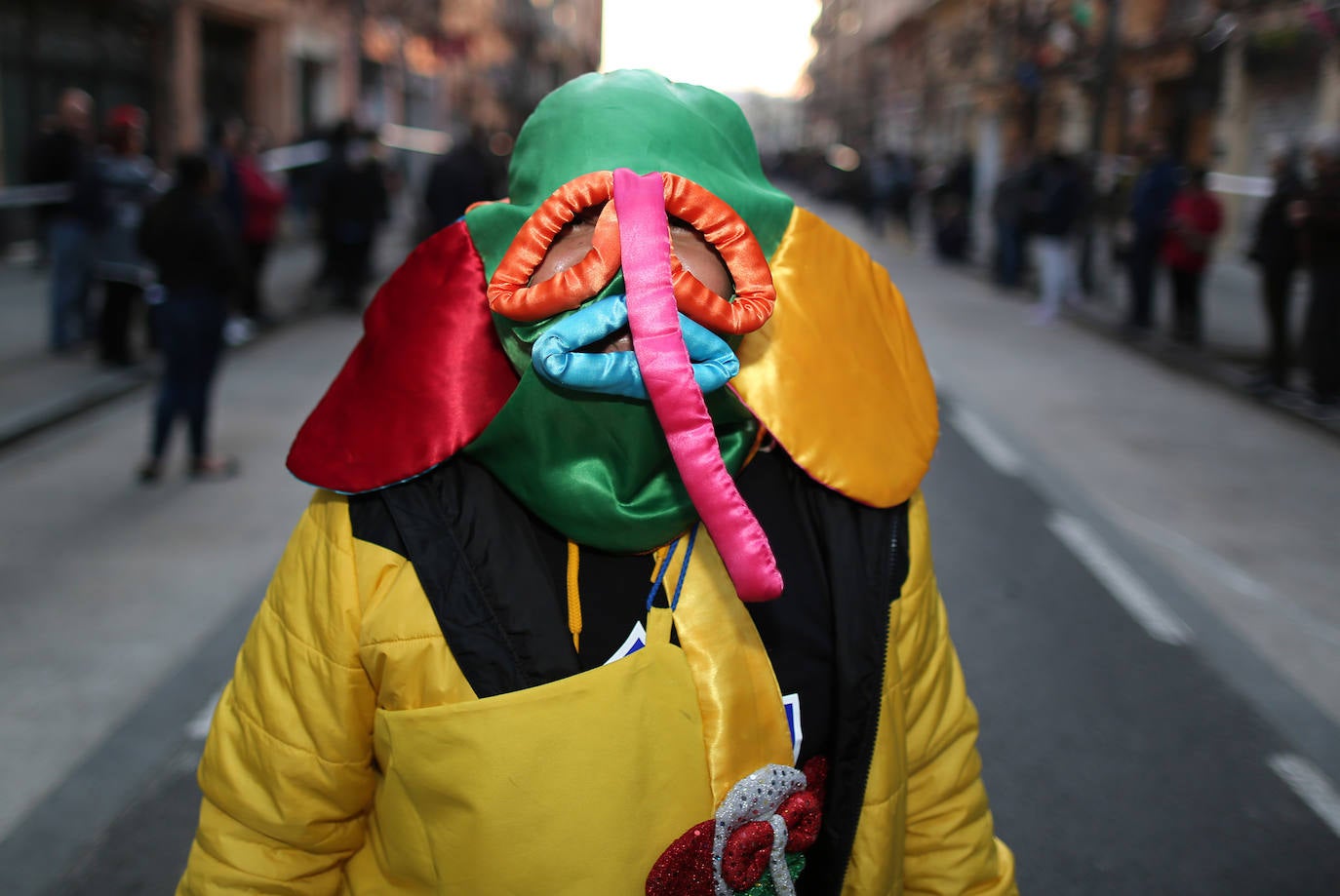 El barrio de Ruzafa, en pleno corazón de Valencia, se ha dejado contagiar de la magia del carnaval para celebrar con vecinos y visitantes una tradición que cumple diez años. Hasta 60 grupos artísticos y colectivos sociales de diferentes países, 17 bandas de música y 30 asociaciones de batucadas han recorrido las calles al ritmo de la música y los bailes. 