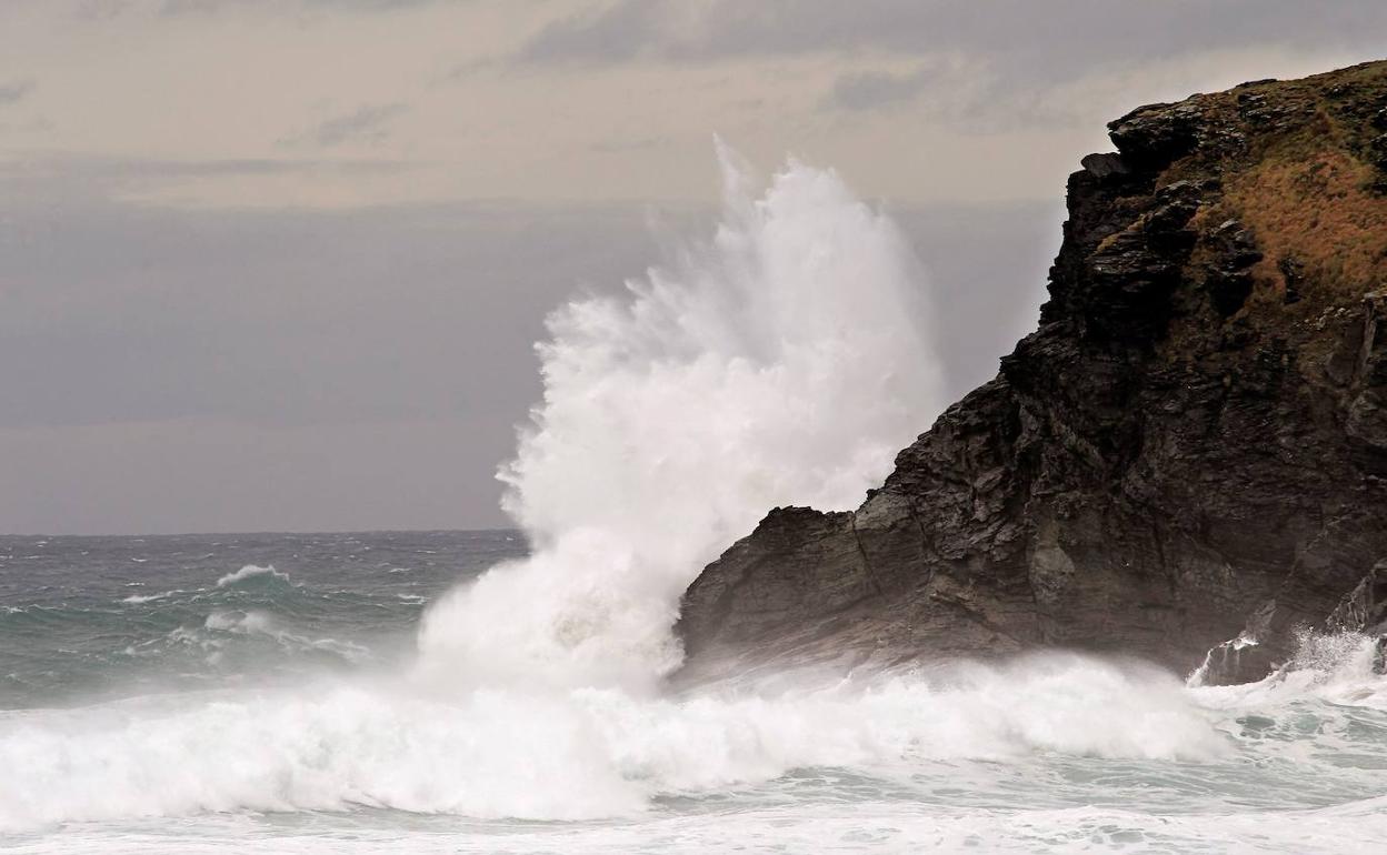 Olejae en la costa de Valdoviño (A Coruña). 