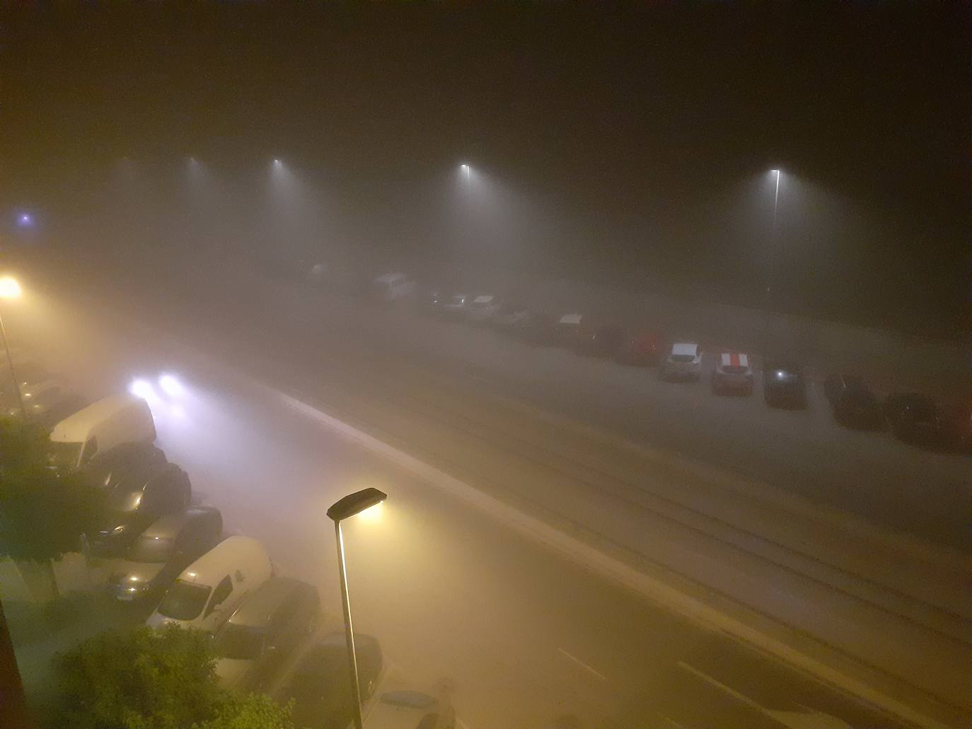 Fotos: La niebla cubre Valencia