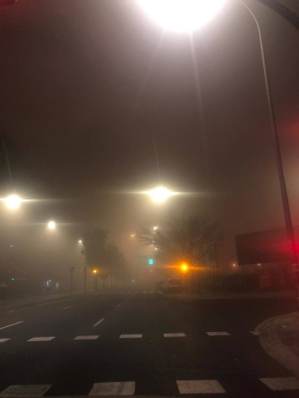 Fotos: La niebla cubre Valencia