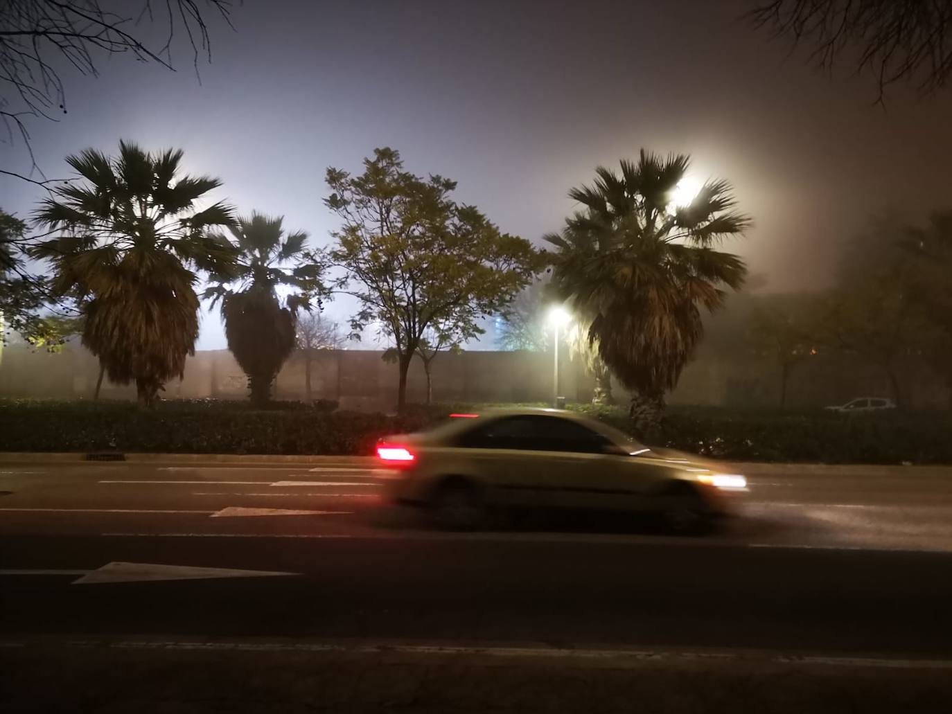 Fotos: La niebla cubre Valencia