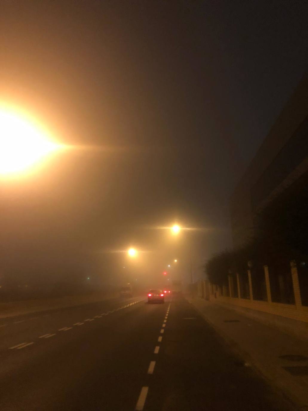 Fotos: La niebla cubre Valencia