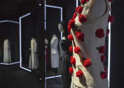 Imagen secundaria 1 - Varias imágenes de la muestra. 