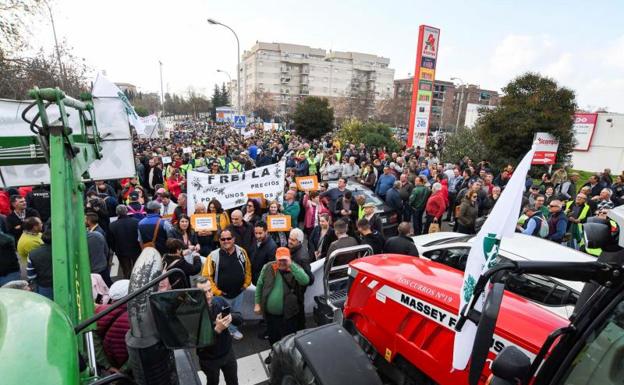 Miles de agricultores y ganaderos se manifiestan en Granada. 