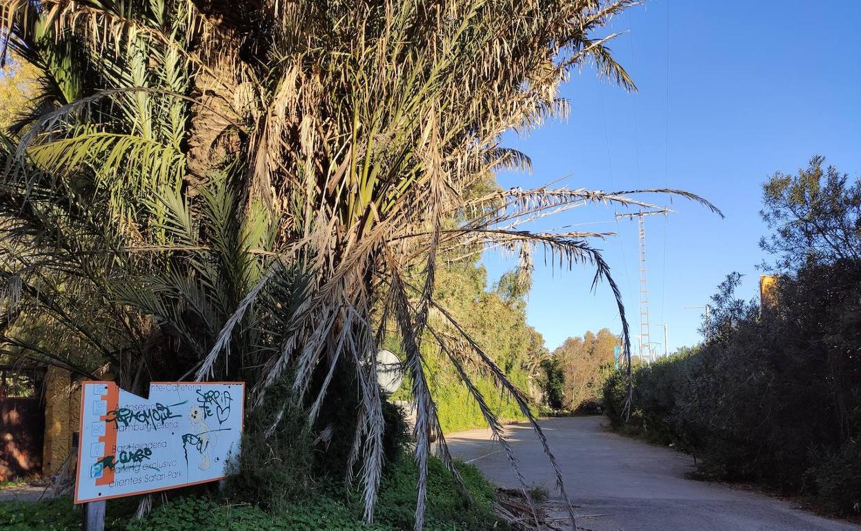 Entrada al recinto que acogió durante años el Safari Park, situada en la carretera CV-700. 