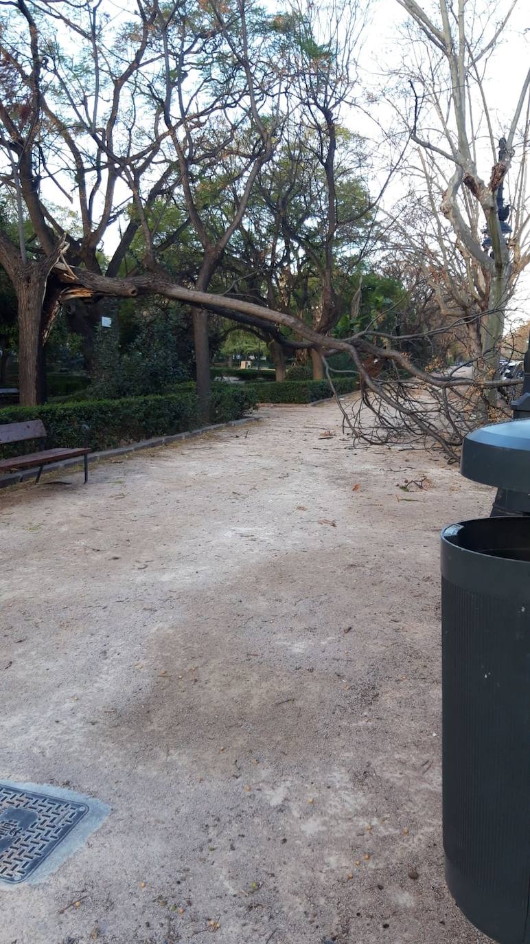 La Comunitat ha inaugurado el mes de marzo con fuertes rachas de viento que han superado los 100 kilómetros por hora y han obligado a decretar la alerta naranja. 