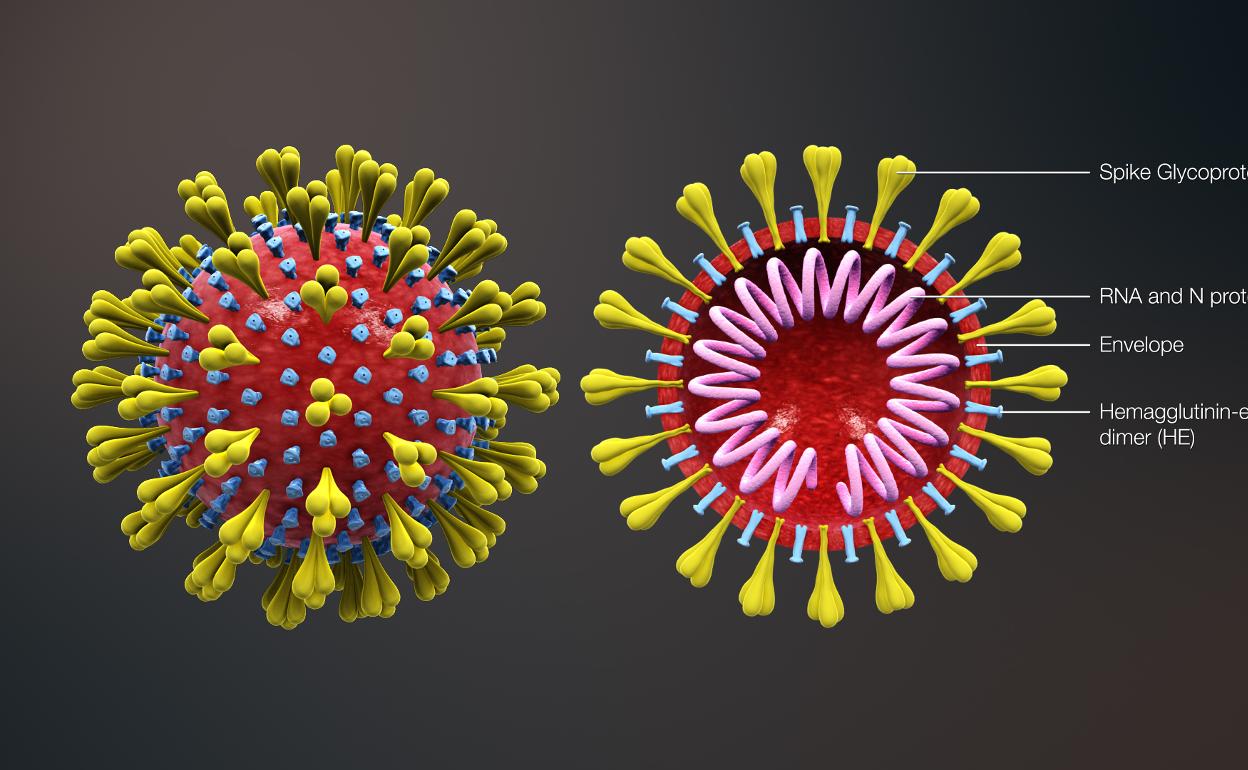 Generación 3D del coronavirus. 