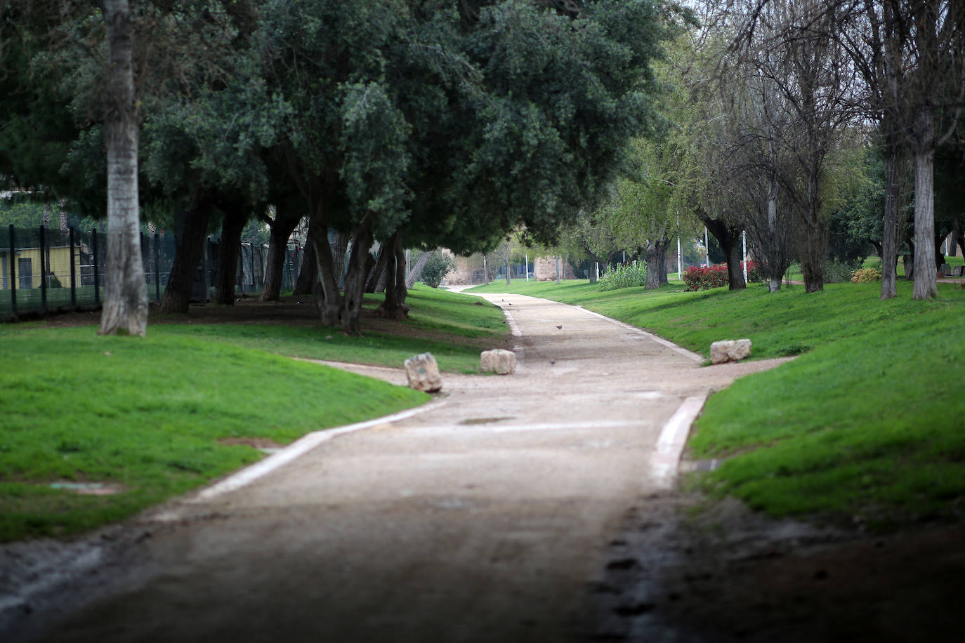 La vida sigue en el cauce del Turia, que ahora es un lugar prohibido.