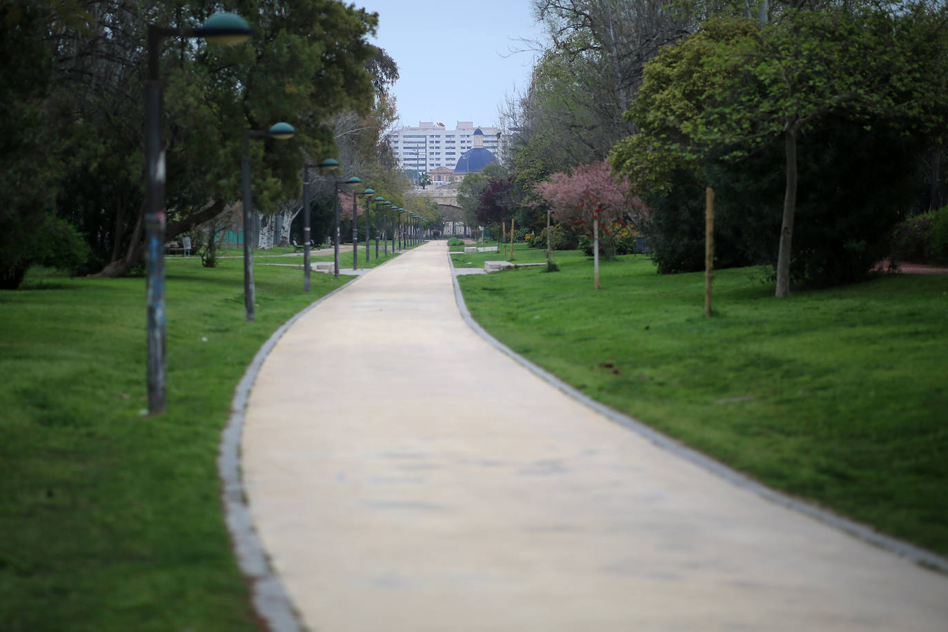 La vida sigue en el cauce del Turia, que ahora es un lugar prohibido.