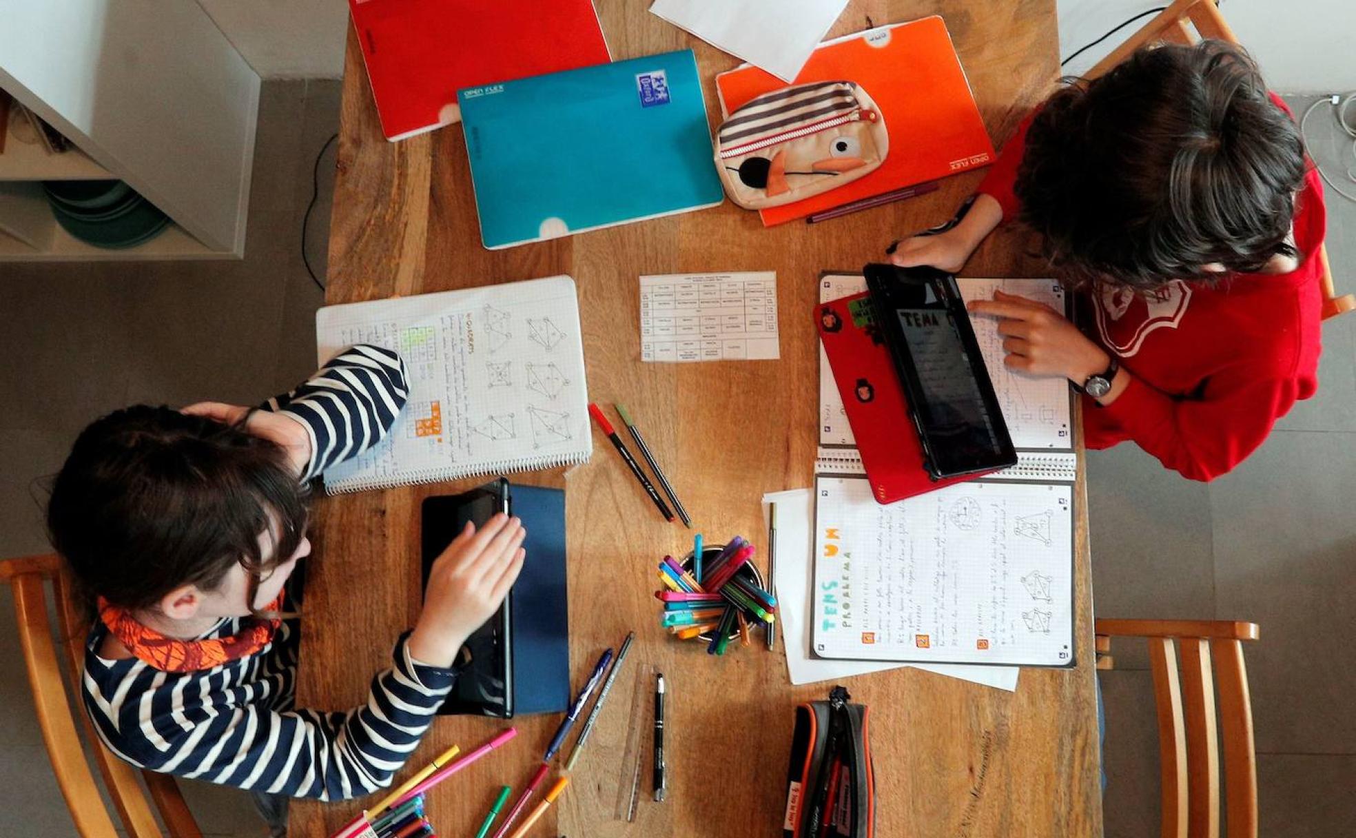 Dos alumnos trabajan a distancia.