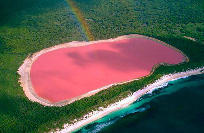 Lago Hillier (Australia) | Sus aguas rosadas se deben a la elevada presencia de un tipo de algas que contienen un elevado porcentaje de betacaroteno, que provoca una pigmentación roja y anaranjada. El lago también tiene otro microorganismo rojo llamado arquea, que contribuye a su atípico color.