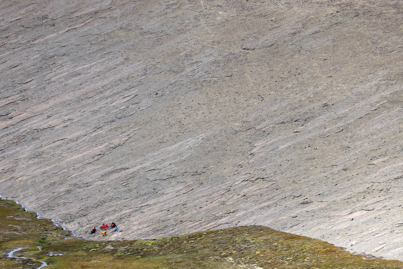 Geólogos, paleobotánicos y biólogos trabajaron en el terreno descubriendo fósiles de vertebrados, estudiaron sedimentos y capas de rocas y buscaron vegetación fosilizada. 