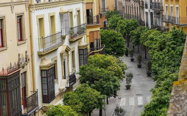 ¿Cómo afecta la pandemia a la salud urbana?