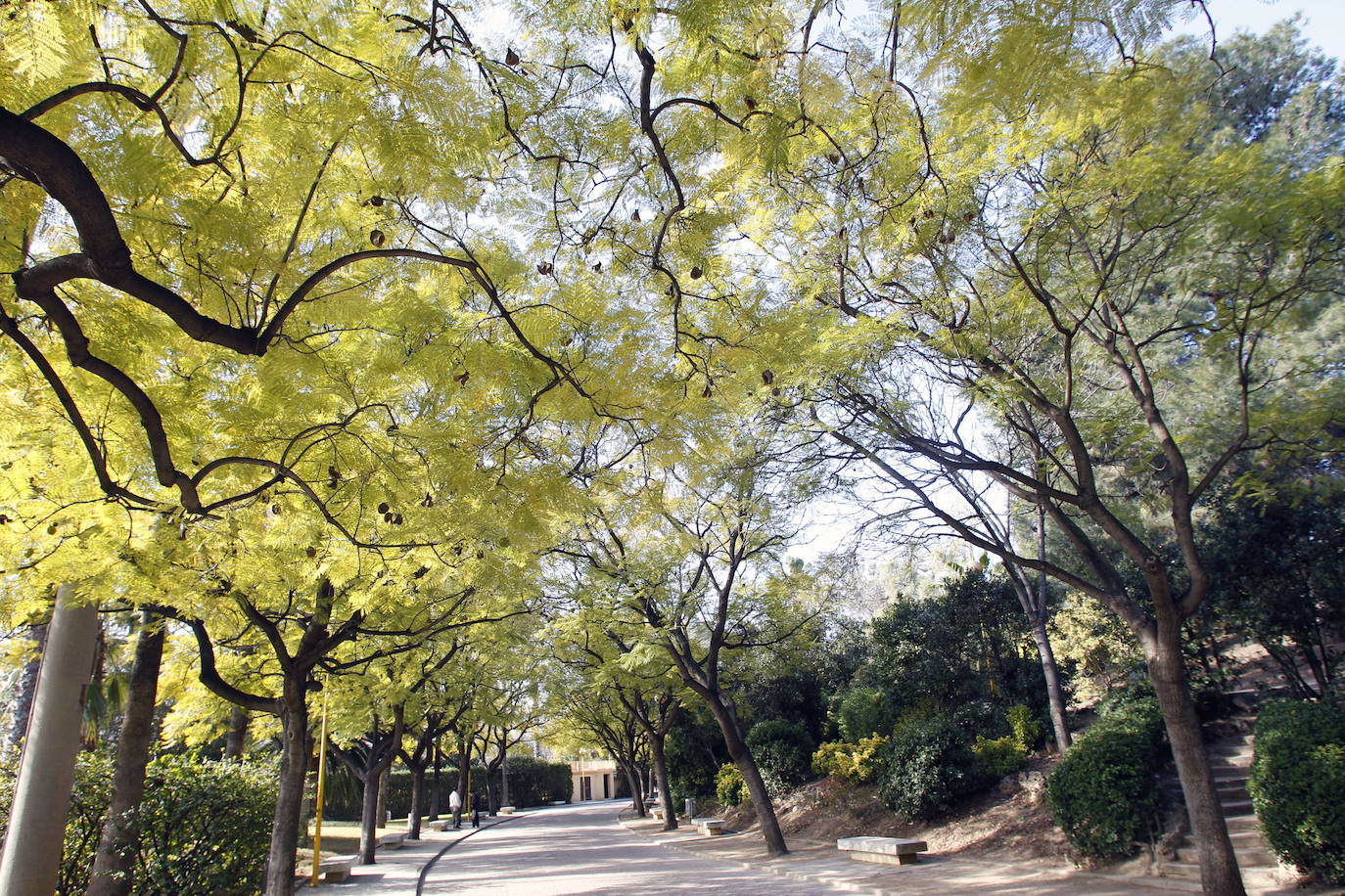 Parque de Benicalap