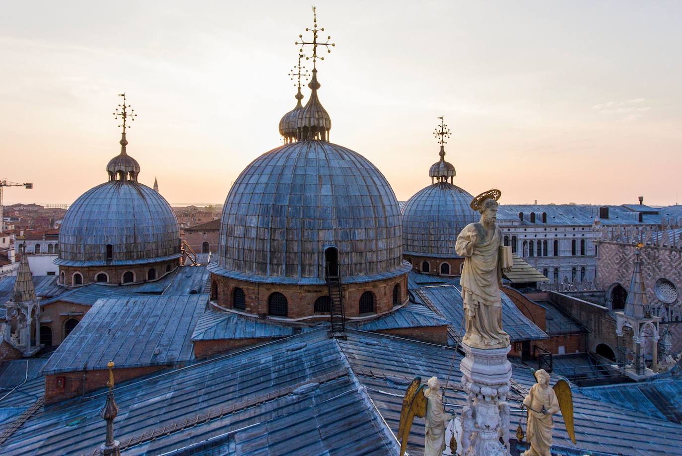 La pandemia del coronavirus ha dejado Venecia más solitaria y bella que nunca. Sin turistas desde principios de marzo, el agua ya no es removida por los miles de barcos, taxis, vaporetti, góndolas y embarcaciones privadas que lo hacen habitualmente. Algunos animales que estaban relegados en los canales más grandes o más amplios, pueden moverse ahora hasta el centro histórico de esta ciudad mágica. 