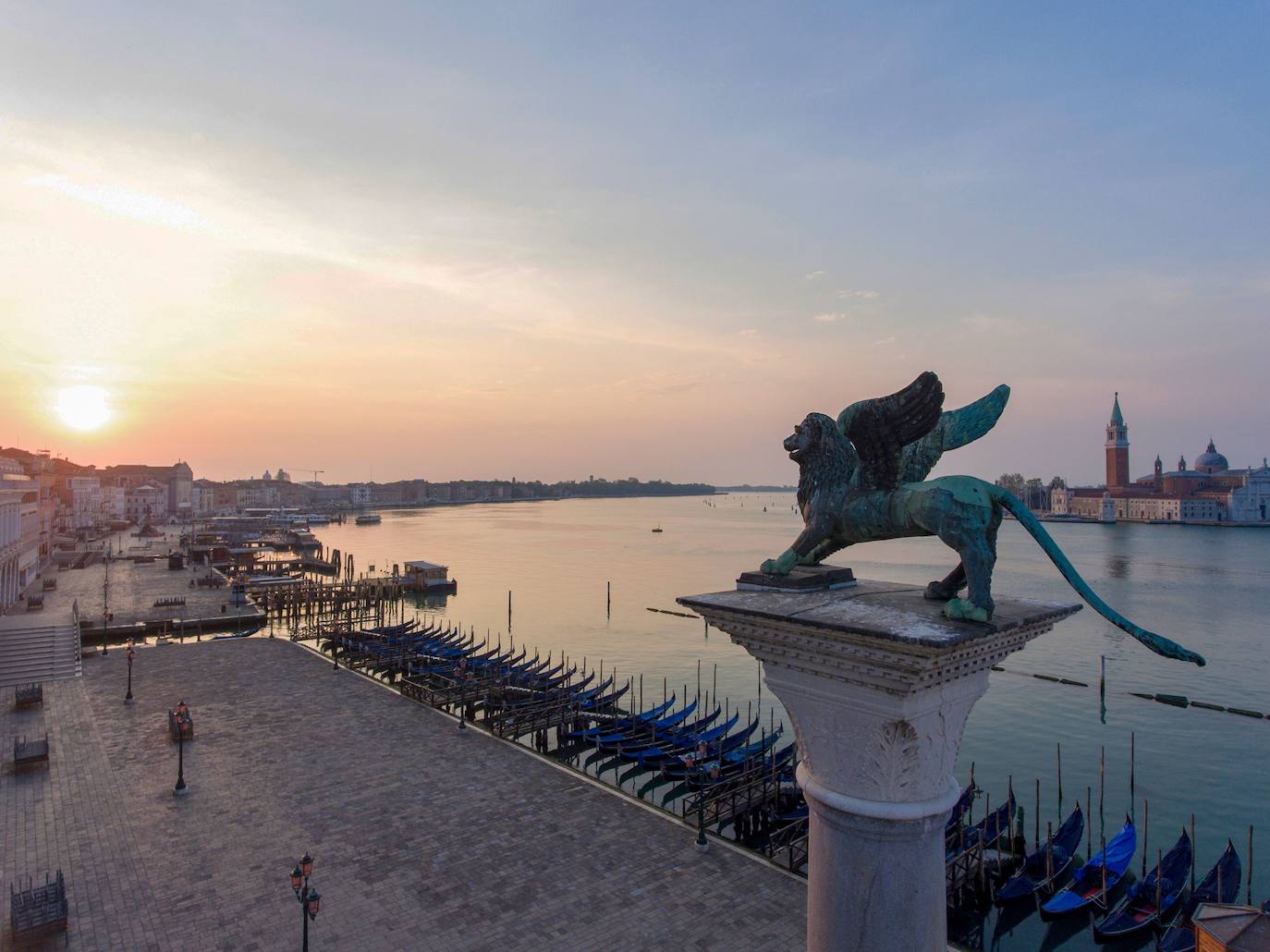 La pandemia del coronavirus ha dejado Venecia más solitaria y bella que nunca. Sin turistas desde principios de marzo, el agua ya no es removida por los miles de barcos, taxis, vaporetti, góndolas y embarcaciones privadas que lo hacen habitualmente. Algunos animales que estaban relegados en los canales más grandes o más amplios, pueden moverse ahora hasta el centro histórico de esta ciudad mágica. 