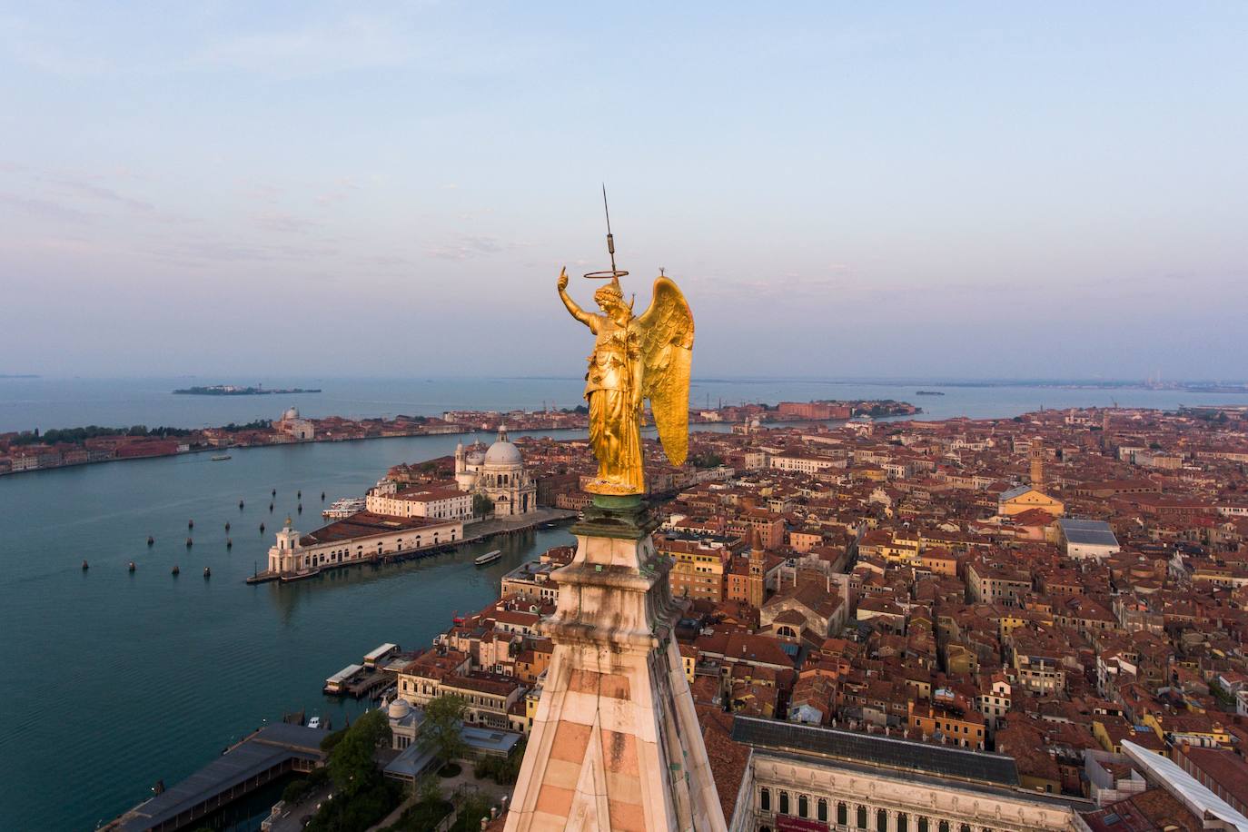 La pandemia del coronavirus ha dejado Venecia más solitaria y bella que nunca. Sin turistas desde principios de marzo, el agua ya no es removida por los miles de barcos, taxis, vaporetti, góndolas y embarcaciones privadas que lo hacen habitualmente. Algunos animales que estaban relegados en los canales más grandes o más amplios, pueden moverse ahora hasta el centro histórico de esta ciudad mágica. 