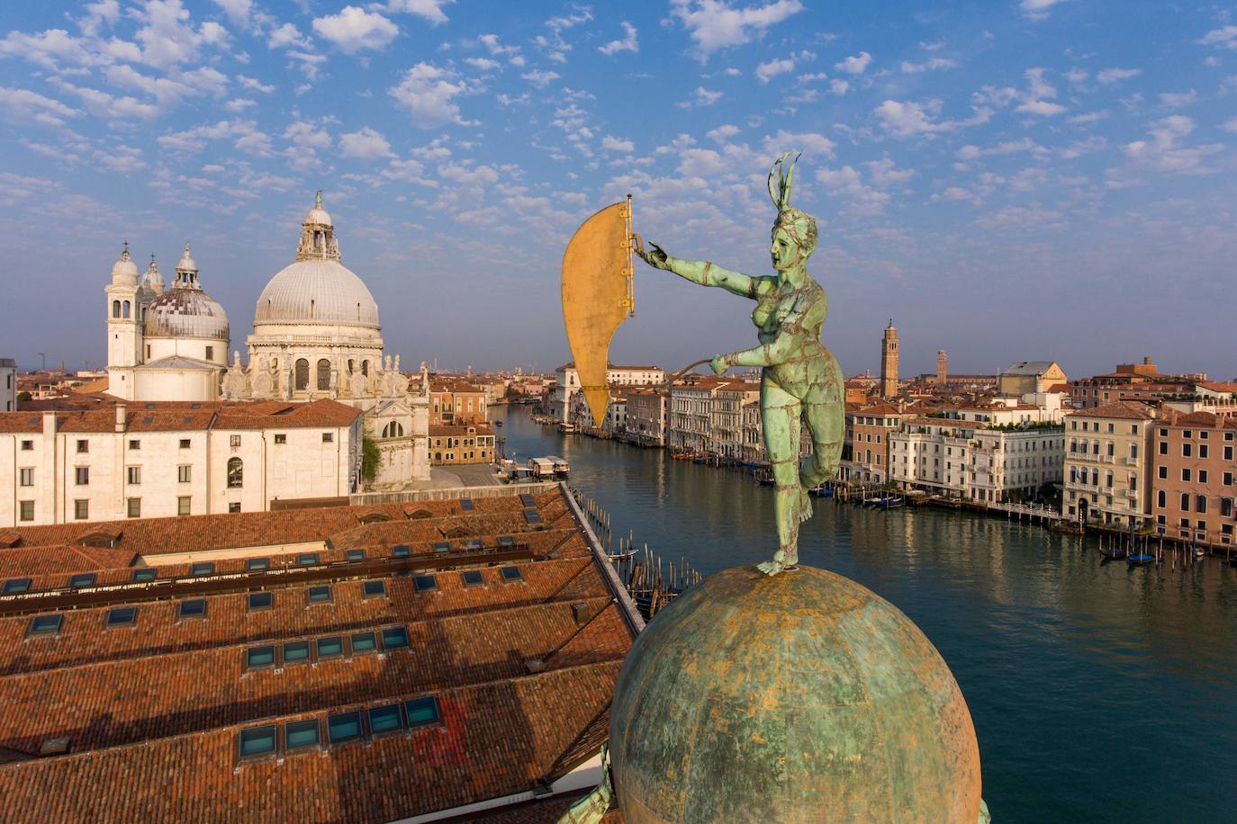 La pandemia del coronavirus ha dejado Venecia más solitaria y bella que nunca. Sin turistas desde principios de marzo, el agua ya no es removida por los miles de barcos, taxis, vaporetti, góndolas y embarcaciones privadas que lo hacen habitualmente. Algunos animales que estaban relegados en los canales más grandes o más amplios, pueden moverse ahora hasta el centro histórico de esta ciudad mágica. 