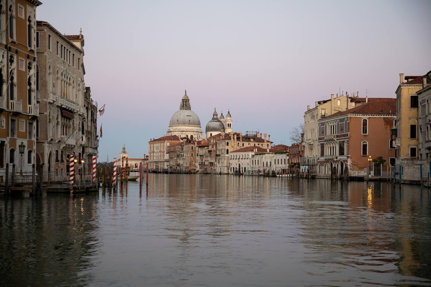 La pandemia del coronavirus ha dejado Venecia más solitaria y bella que nunca. Sin turistas desde principios de marzo, el agua ya no es removida por los miles de barcos, taxis, vaporetti, góndolas y embarcaciones privadas que lo hacen habitualmente. Algunos animales que estaban relegados en los canales más grandes o más amplios, pueden moverse ahora hasta el centro histórico de esta ciudad mágica. 