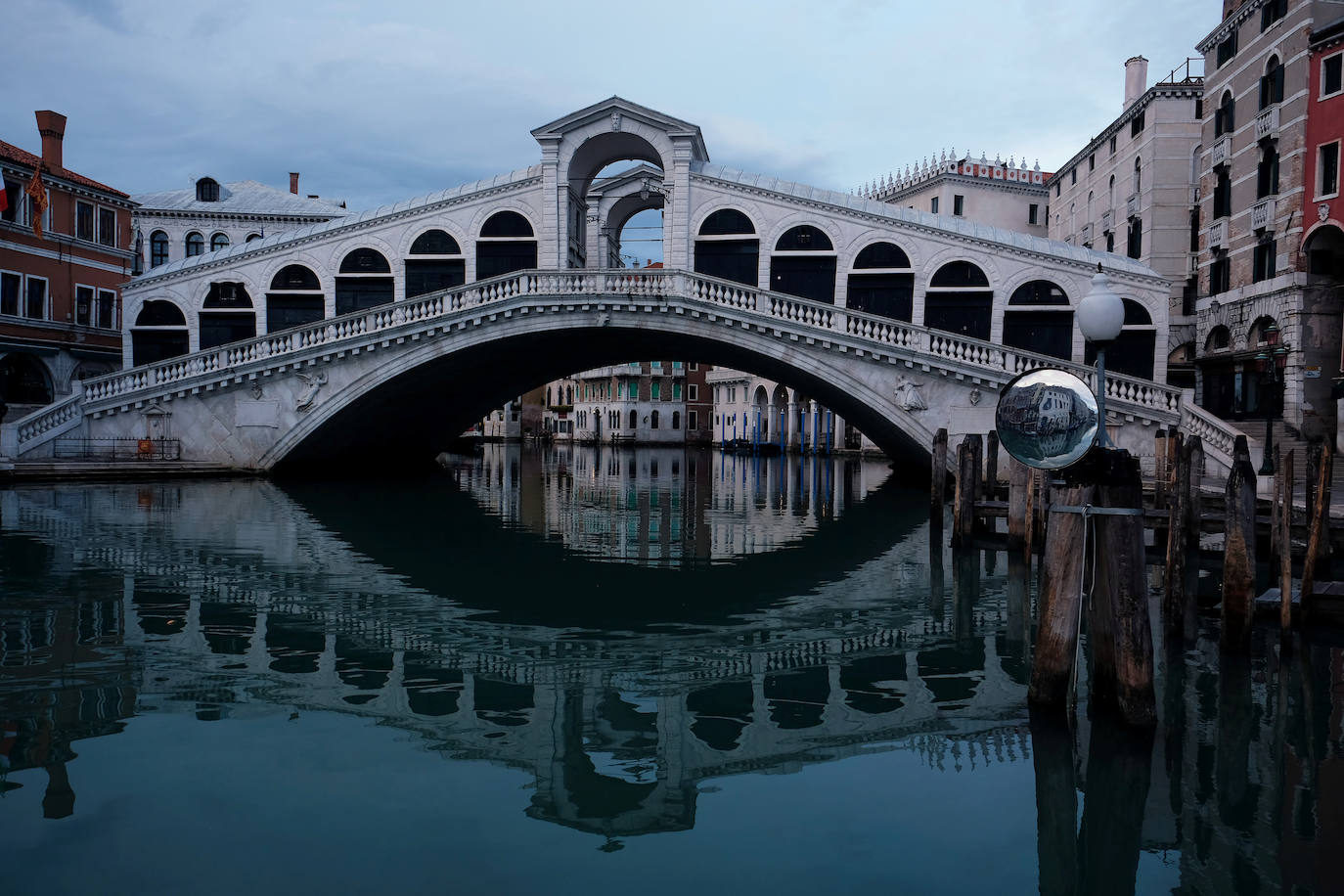 La pandemia del coronavirus ha dejado Venecia más solitaria y bella que nunca. Sin turistas desde principios de marzo, el agua ya no es removida por los miles de barcos, taxis, vaporetti, góndolas y embarcaciones privadas que lo hacen habitualmente. Algunos animales que estaban relegados en los canales más grandes o más amplios, pueden moverse ahora hasta el centro histórico de esta ciudad mágica. 